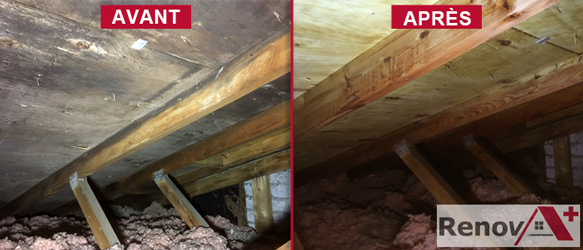 Attic Mold Removal (Before/After), Outremont