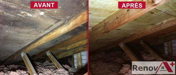 Attic Mold Removal (Before/After), Sainte-Anne-De-Bellevue