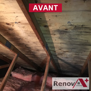 Attic mold removal quotation, Kirkland