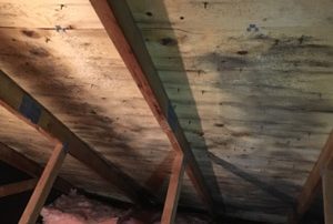 Attic mold removal quotation, Longueuil Montreal Laval