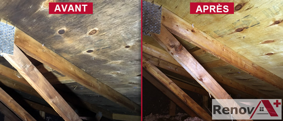 Attic Mold Remediation (Before/After), Cote-Des-Neiges