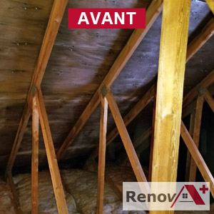 Attic mold removal contractor, Pointe-Claire