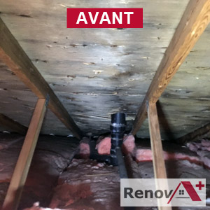 Attic mold remediation, Dorval