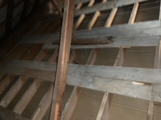 Vermiculite removal in attic, Laval