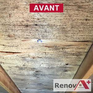 Mold removal attic expert, Dollard-Des-Ormeaux