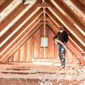 Price for Attic Insulation, Dorval