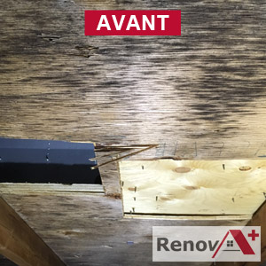 Attic mold removal in Baie-Urfe