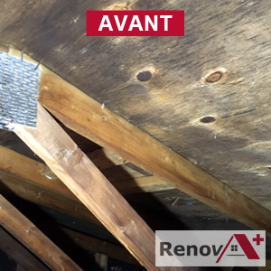 Attic mold removal specialist, Cote-Saint-Luc