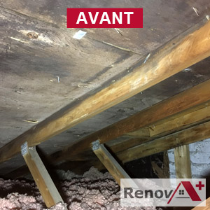 Mold Removal Attic, Cote-Des-Neiges