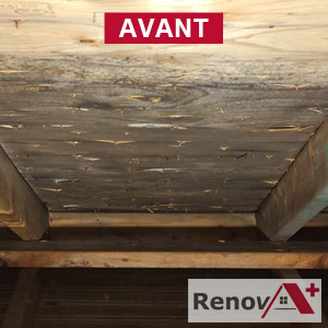 Attic Mold Removal Price, Longueuil