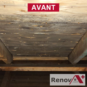 Attic mold removal price, Beaconsfield