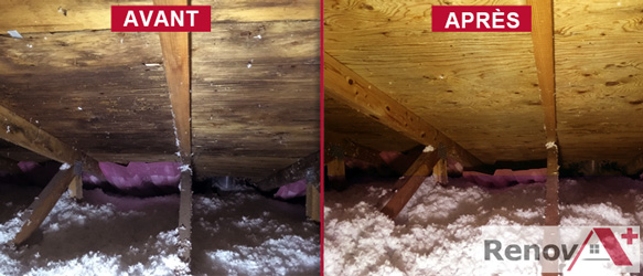 Treatment mold attic, Laval