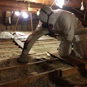 Attic decontamination vermiculite, Longueuil