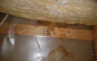 Rodents attic decontamination, Laval