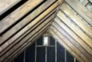 Mold in attic and missing maximum on roof