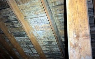 Moisissures entretoit: bois (plywood) qui bloque les soffites
