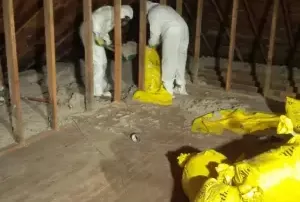 Enlèvement de vermiculite dans l'entretoit, Longueuil