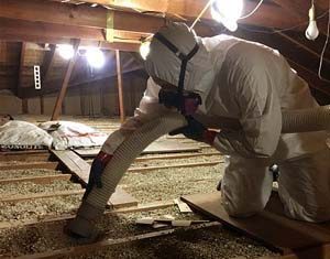 Decontamination de vermiculite, Granby