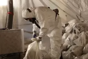 Décontamination de vermiculite dans l'entretoit, Saint-Jean