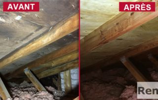 Inspection décontamination moisissures noires toit, Longueuil Montreal Laval