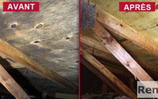 Inspection decontamination moisissures entretoit, Longueuil Montreal Laval