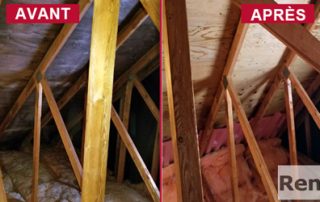 Specialiste inspection decontamination moisissures entretoit, Longueuil Montreal Laval
