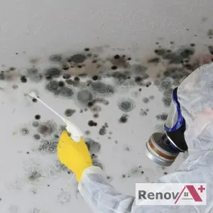 Décontamination de moisissures à La Prairie