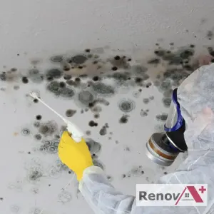Décontamination de moisissures à Saint-Lambert